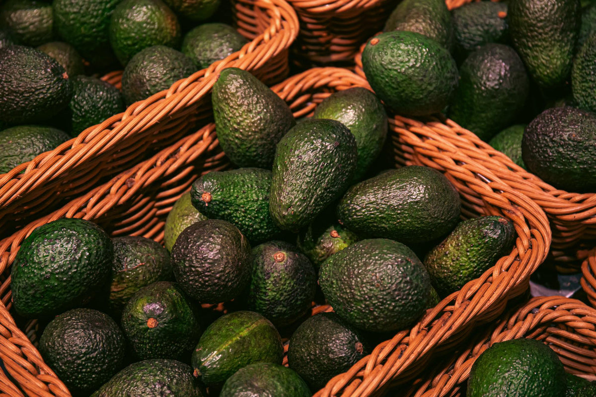 Freshly harvested avocados from The Island Gardeners’ Palm Bay food forest