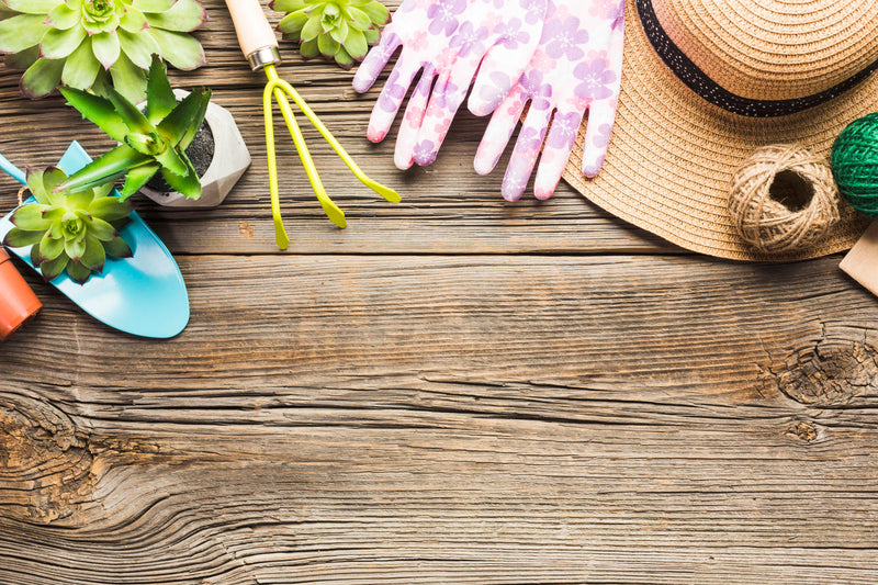 Garden Tools and Accessories