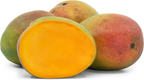 Kent Mango Tree