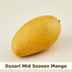 Dusari Mango Tree Grafted ( mid Season )