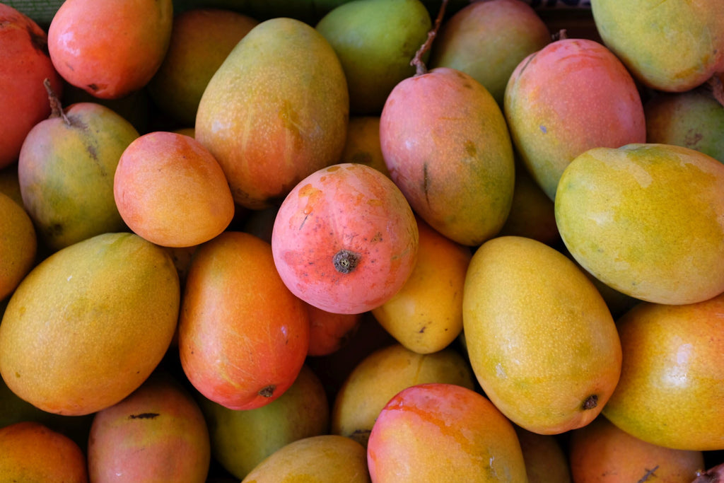Glenn Mango Tree