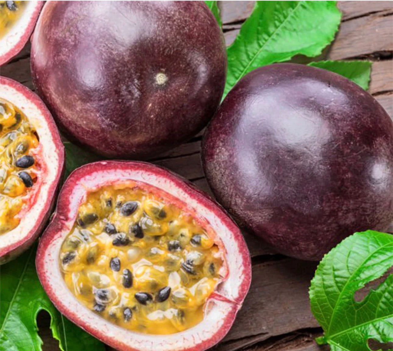 Purple Passion Fruit Vine  ( Summer + Fall )