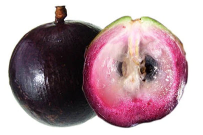 Purple Star Apple Tree (Caimito) – Rare Tropical Fruit Tree