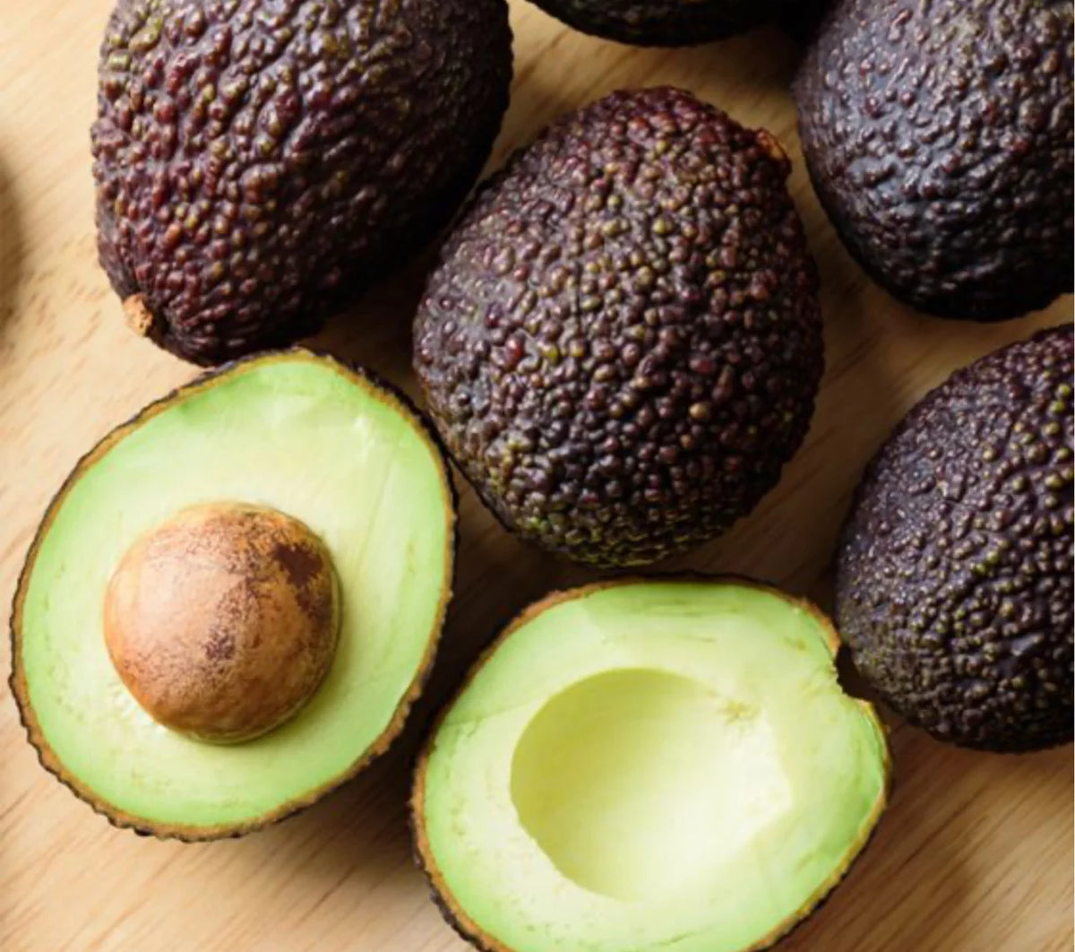 Lamb Hass Avocado Tree