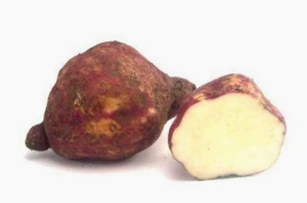 Jamaican Yellow Sweet Potato Slips | Boniatillo