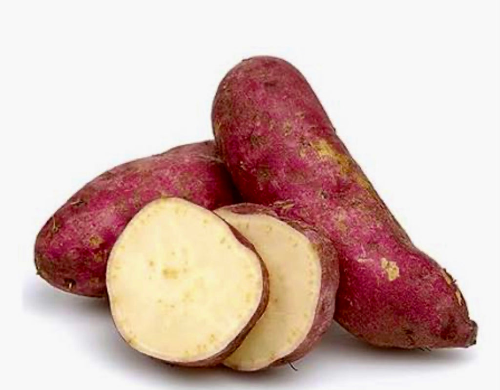 Jamaican Yellow Sweet Potato Slips | Boniatillo