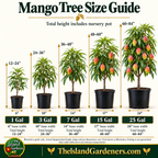 Juicy Peach Mango