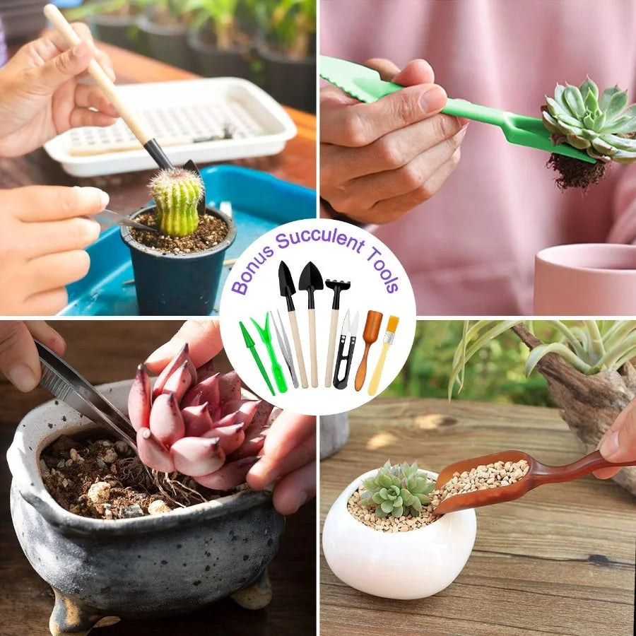 Garden Tools Set 83 Piece Succulent Tools Set Included Heavy Duty Aluminum Gardening Tools for Gardening NonSlip Ergonomic Hand