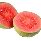 Barbie Pink guava cut open to show its bright pink flesh
