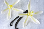 Cured vanilla beans ready for culinary use