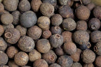 Dried pimento allspice berries used as a culinary spice