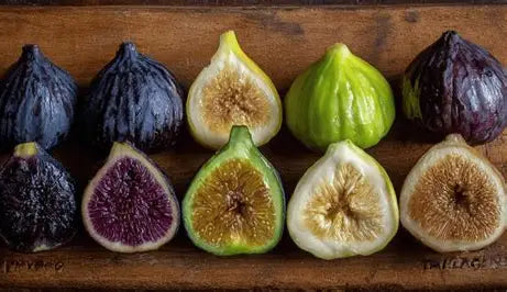 Tree ripened figs on display after harvesting