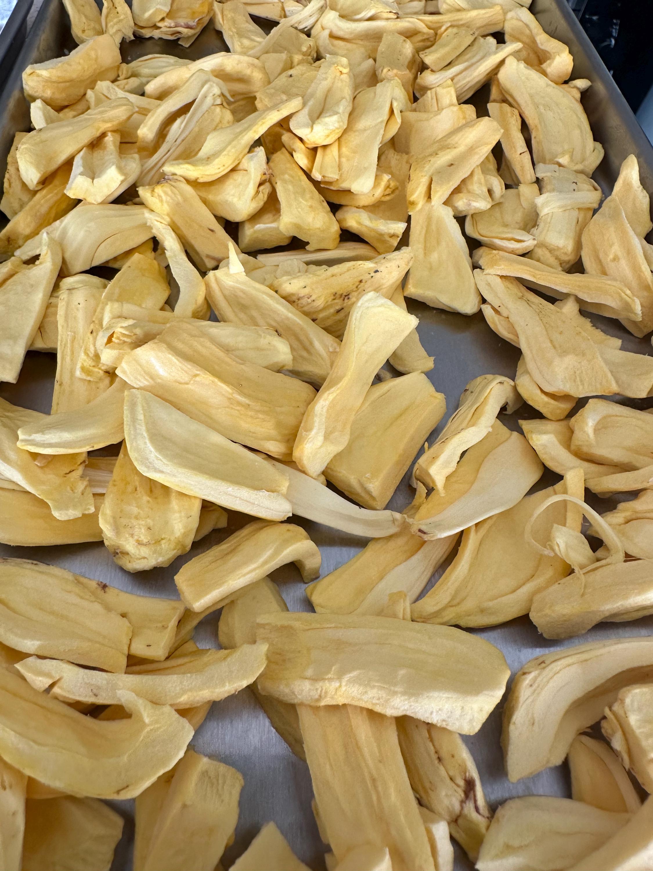 Freeze Dried Jack fruit