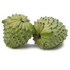 Green Geffner atemoya fruit growing on a branch