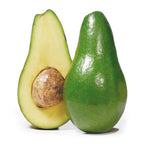 Large green Hall avocado fruit