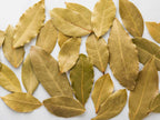Harvested bay laurel leaves for cooking