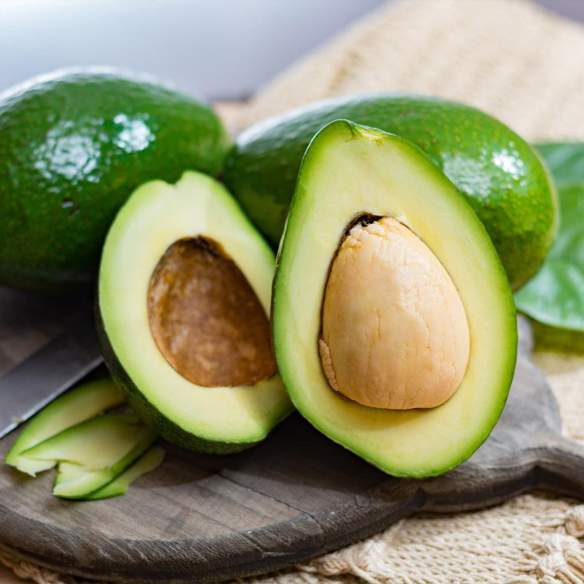 Simmons Avocado Tree