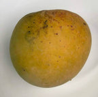 White Pirie Mango Tree