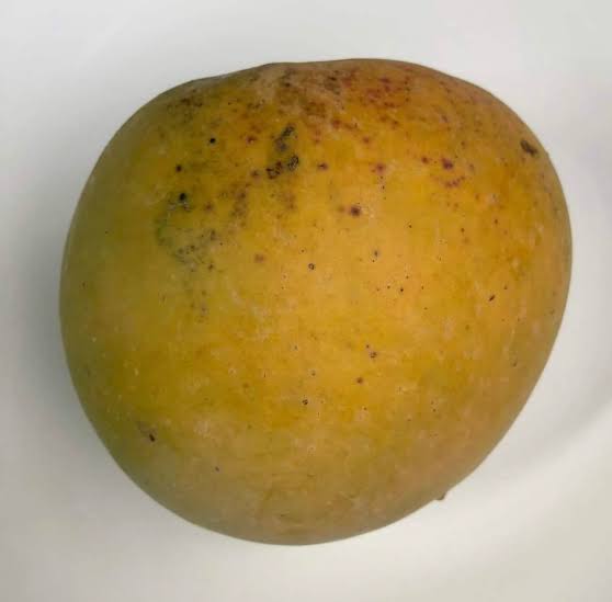 White Pirie Mango Tree