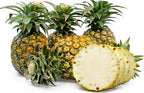 Sugarloaf Pineapple Plant – Sweet Pale-Yellow Pineapple