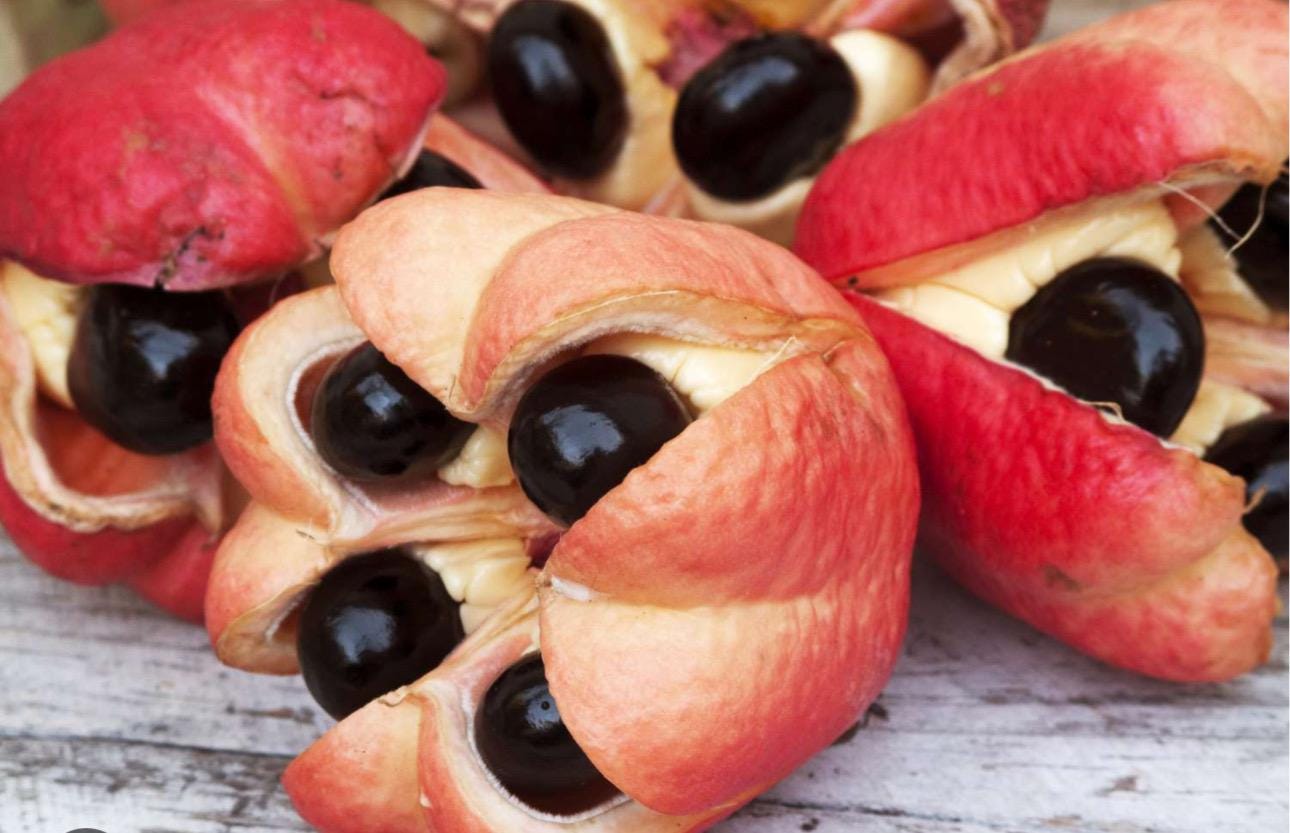 Jamaican Ackee - Freeze Dried