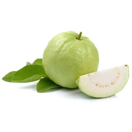 Kilo White guava cut open to show its white flesh