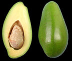 Doni avocado cut open to show its flesh and seed