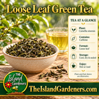 Loose green tea leaves in a ceramic bowl beside a glass cup of brewed tea 