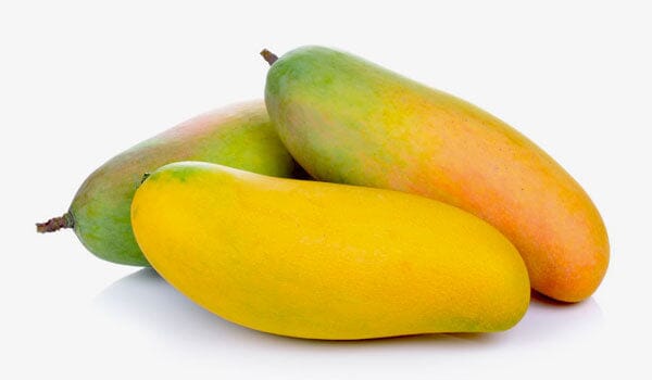 Maha Chanook Mangoes for sale