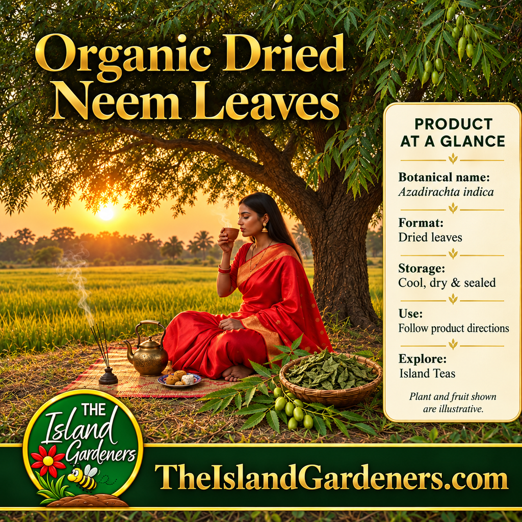 Woman in a red saree holding a steaming cup beside a brass teapot beneath a neem tree at sunset. 