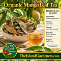 Dried mango leaves in a ceramic bowl beside a glass cup of amber herbal tea 