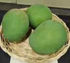 Three broad green oval-to-round mangoes with fine pale speckles in a shallow woven basket.
