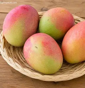 Red-blushed yellow-green mangoes resting in a shallow woven basket on a wooden surface.