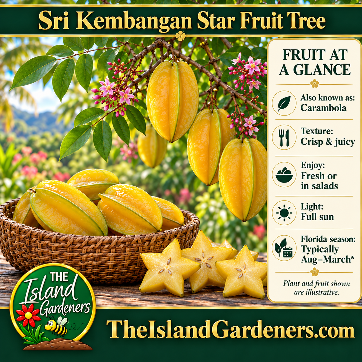 Golden carambola fruit on a leafy branch beside a woven basket and star-shaped fruit slices. 