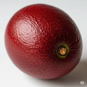 Red-skinned Thomson Red avocado fruit