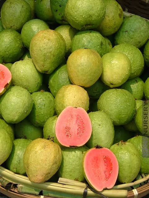 Tikal guava cut open to show its pink flesh