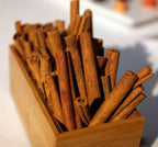 Ceylon Cinnamon Plant (True Cinnamon) — Cinnamomum verum