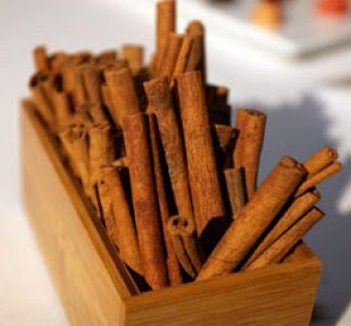 Ceylon Cinnamon Plant (True Cinnamon) — Cinnamomum verum