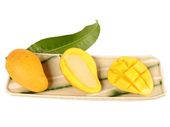 Choc Anon Mango Tree