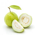 Freshly harvested White Asian guava fruit