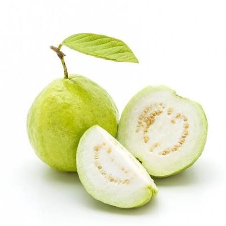 Freshly harvested White Asian guava fruit