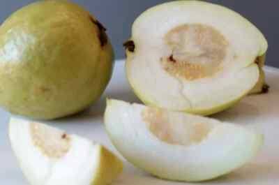 White Indonesian guava cut open to show its white flesh