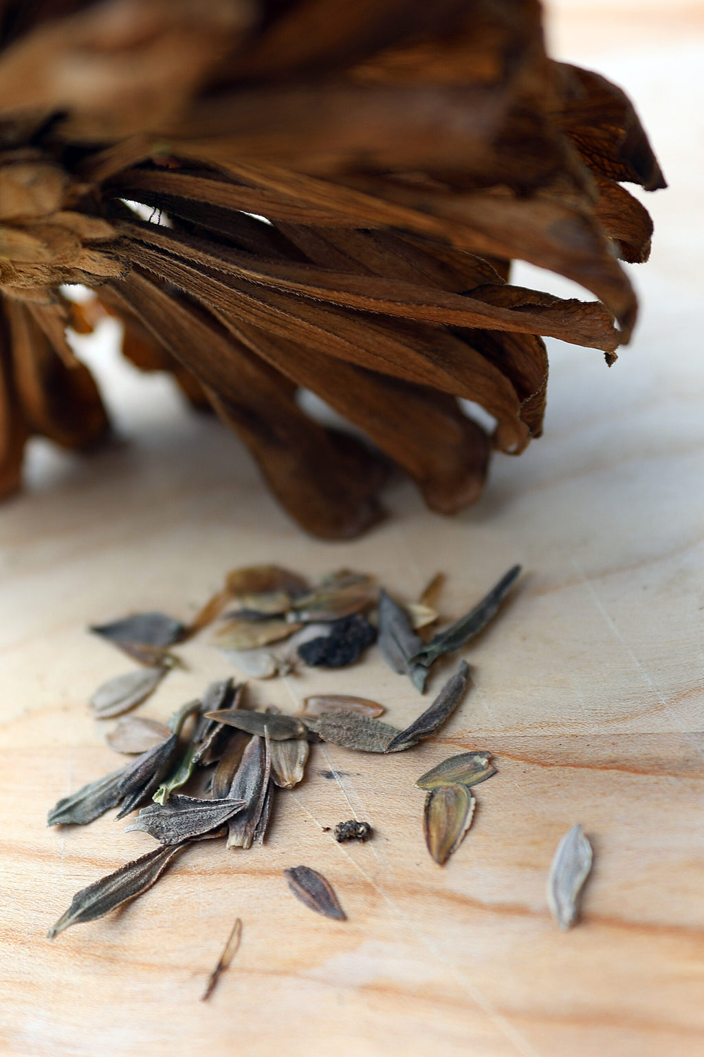 Close-up of dried brown flower petals and small seed-like fragments scattered on a light wood surface, with a blurred bundle of similar dried petals in the upper background.