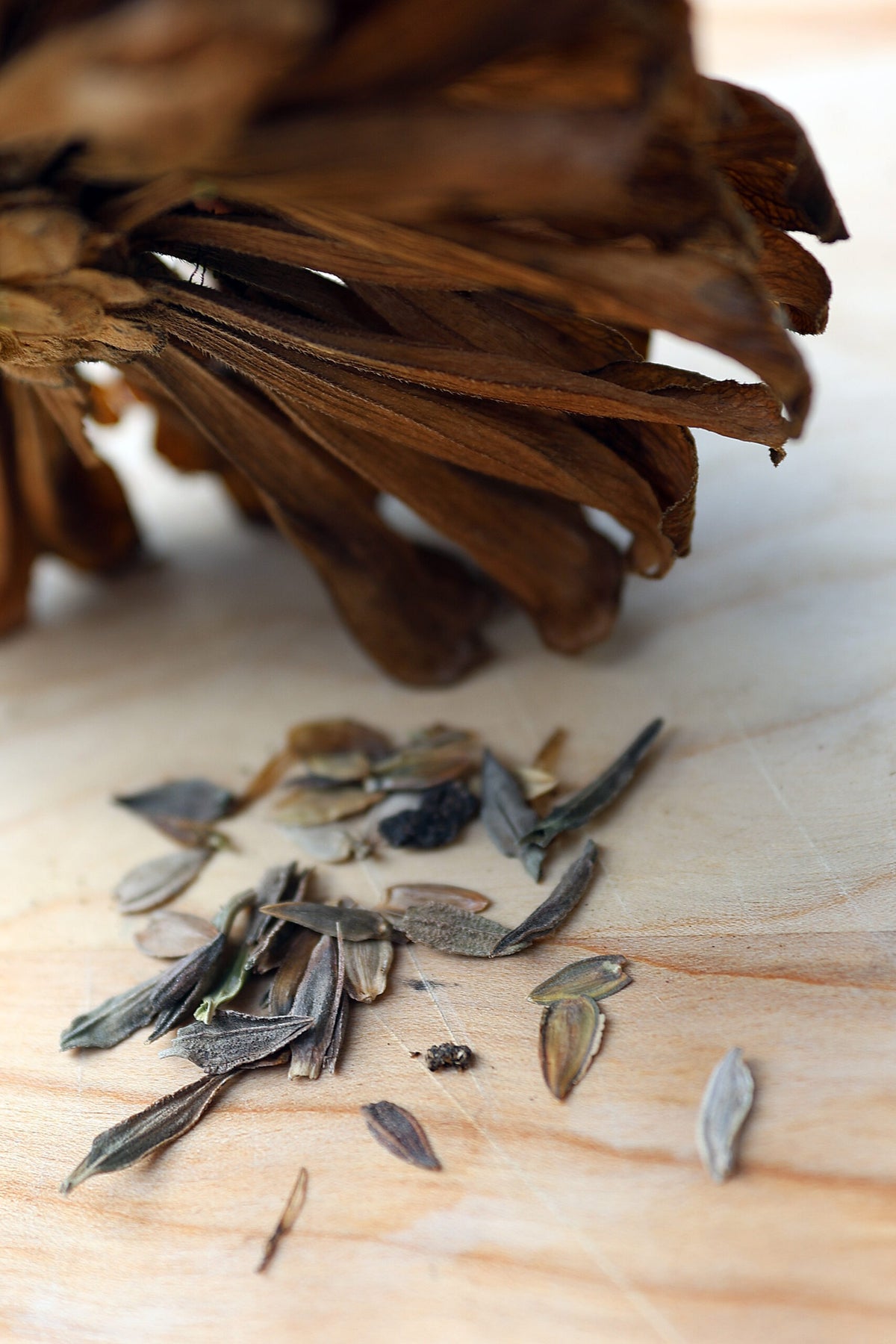 Close-up of dried brown flower petals and small seed-like fragments scattered on a light wood surface, with a blurred bundle of similar dried petals in the upper background.